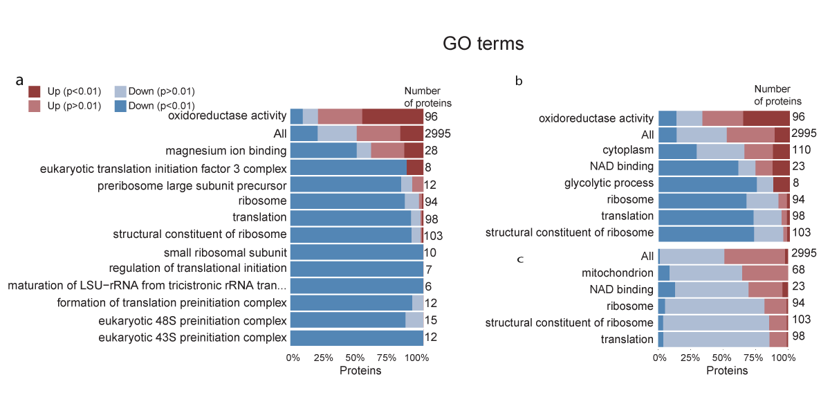 GO富集分析 - 示例图片 1