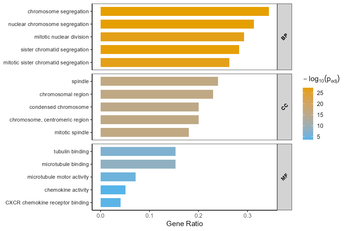GO富集分析 - 示例图片 2