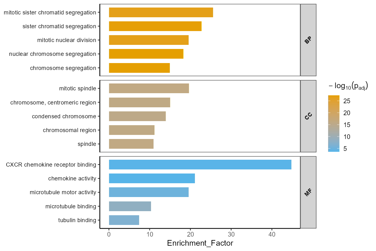 GO富集分析 - 示例图片 3