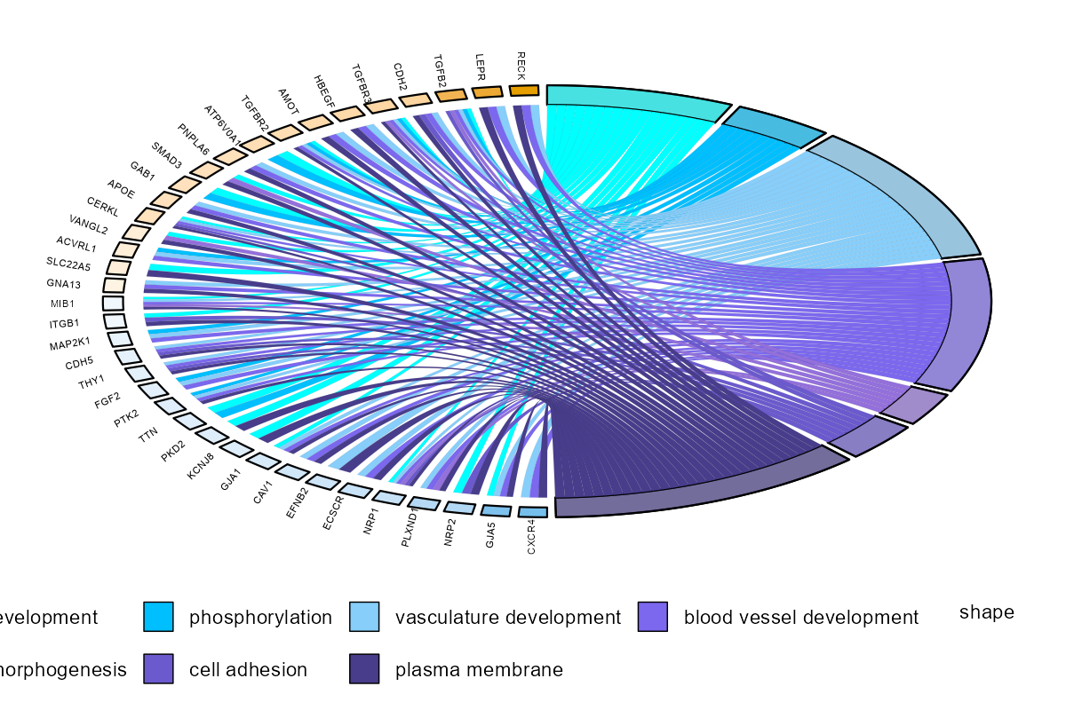 GO富集分析 - 示例图片 4