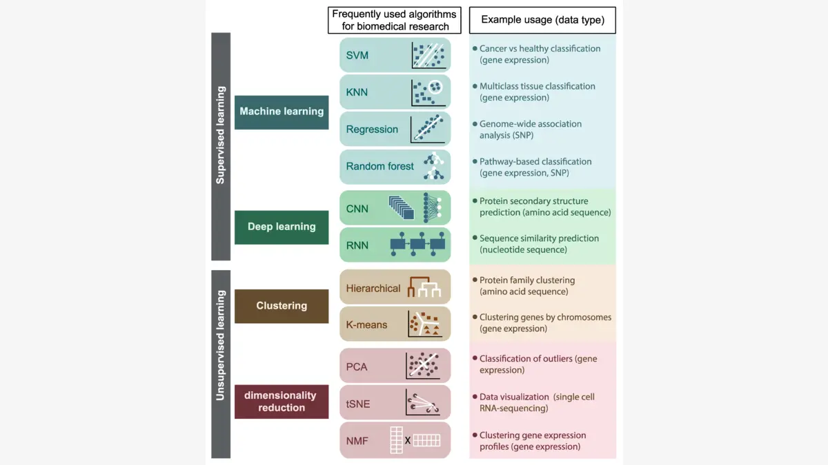 生物数据可视化
