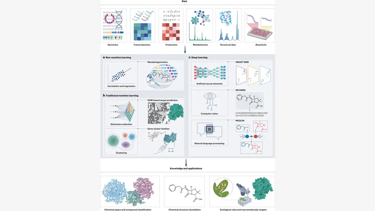 蛋白质结构预测