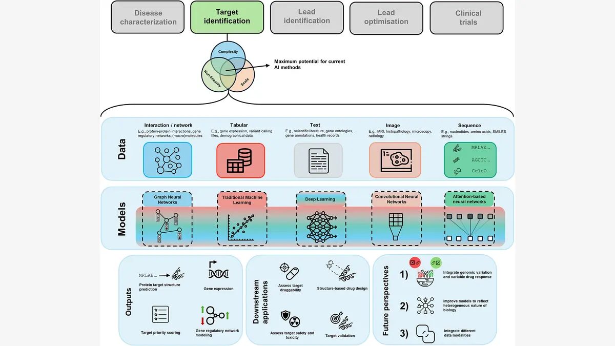 系统发育树构建